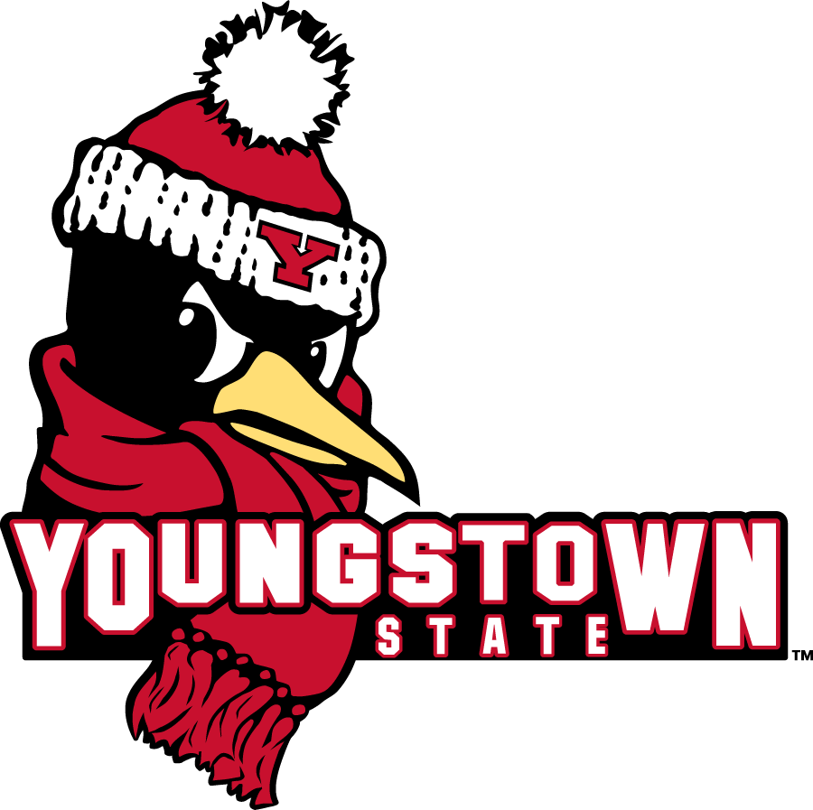 Youngstown State Penguins 2018-Pres Secondary Logo diy DTF decal sticker